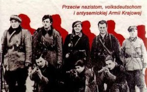 wole-zginac-walczac-wspomnienia-z-ii-wojny-swiatowej