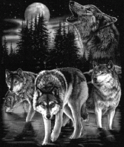 wolves_howling_wolf_pack
