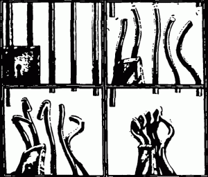 Prison-bars-unite-into-fist