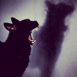 tumblr_m7bc6aCfwQ1robobfo1_400