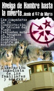 bannerhhccf-610x1024