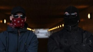 swedens-war-on-fascists-1413245453164-crop_mobile_400