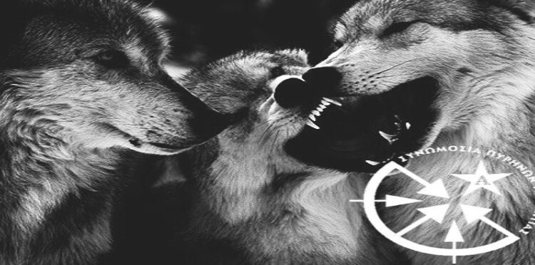 lupi-ccf-750x372